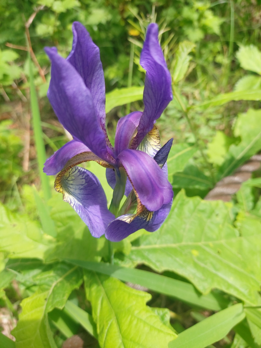 2000769928_MpntqU7j_be07479404e32ad92edf7068a4ec1ec1dfd1efb2.jpg 이미지크게보기