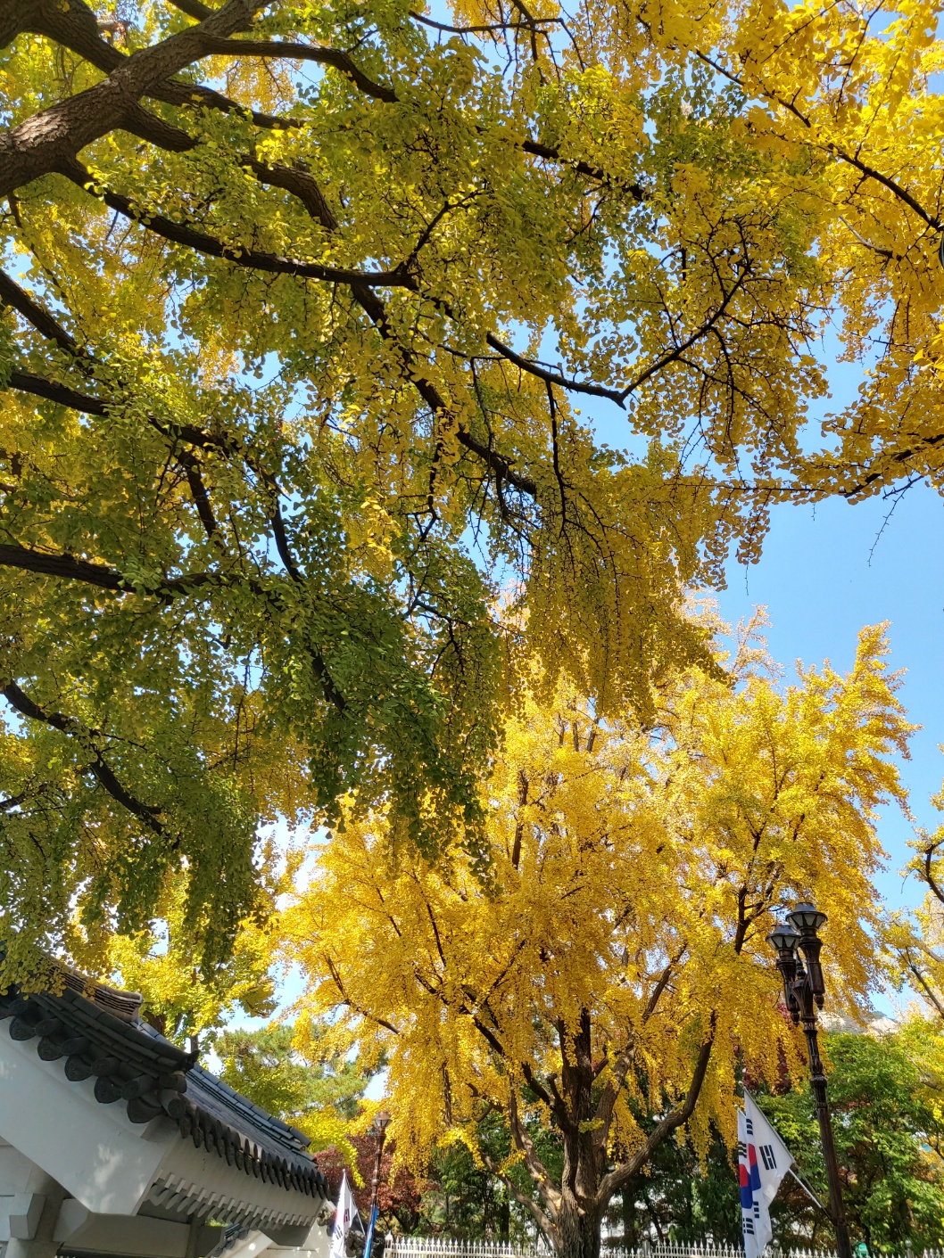 2000769928_PqUEkSJn_be4949388f3a39ce1a9b86d71fb71d410f4717c6.jpg 이미지크게보기