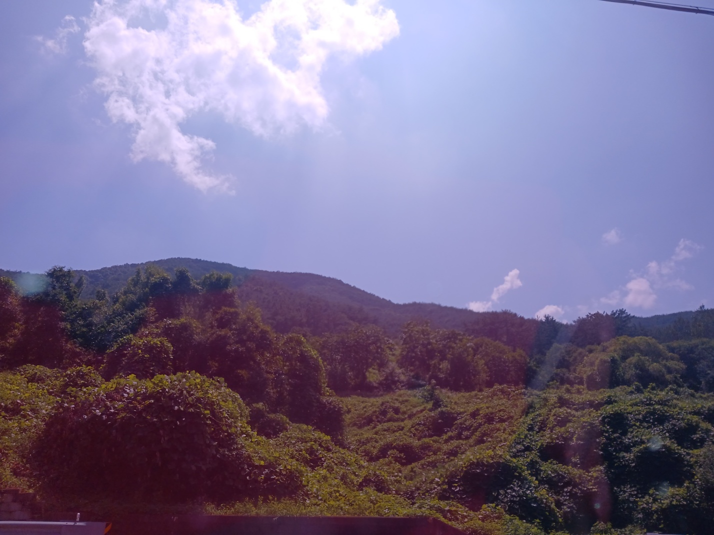 2000769928_Q5ab3U1F_8f4f4e5a058fdcaf13f533aca34e7d9186d171fc.jpg 이미지크게보기