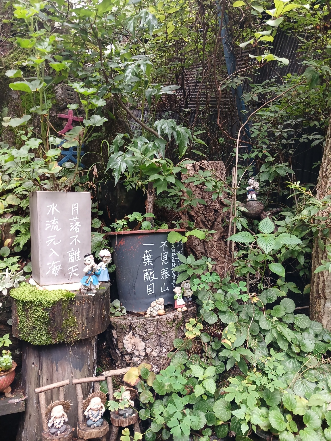 2000769928_jhnoTQRI_4c658542412c2746b650a2242984a5a69828a2f1.jpg 이미지크게보기