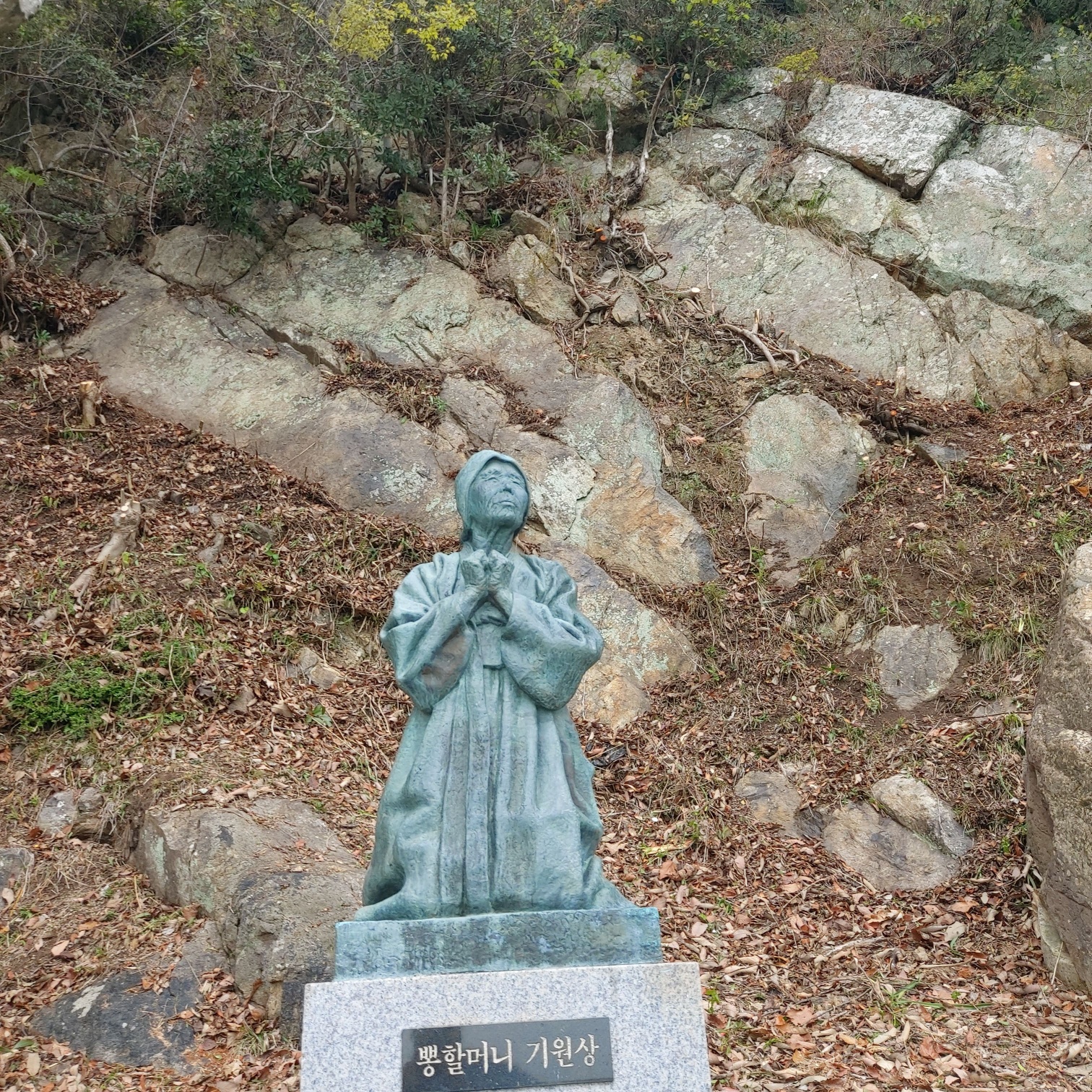 2000769928_meUJGOQT_695fe9b2da359a7e19a9eb374860eb91c599101a.jpg 이미지크게보기